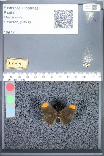 Media type: image;   Entomology 75522